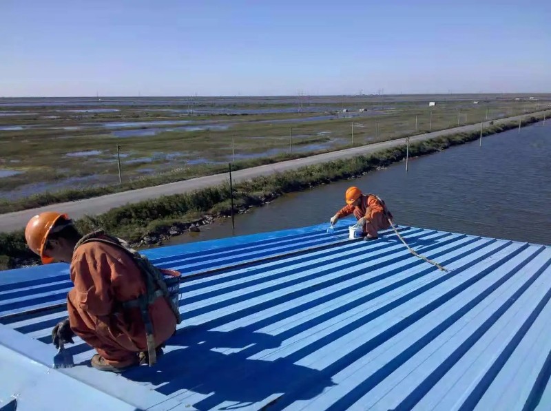 扬州彩钢瓦屋面防腐翻新